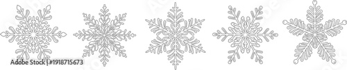 Five distinct crystalline snowflake graphics are displayed in a horizontal row against a white background.