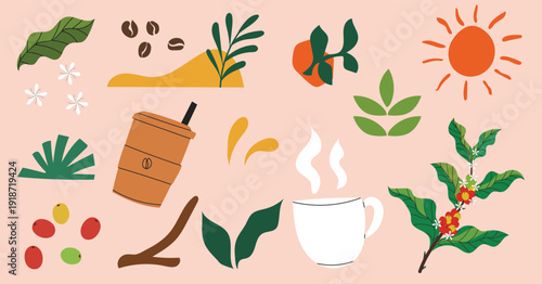 Coffee element design organic shapes, branch, bean and coffee cup