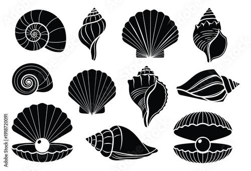 Hand drawn line art seashell and pearl set featuring various spiral and fan shells with oysters for marine and summer designs