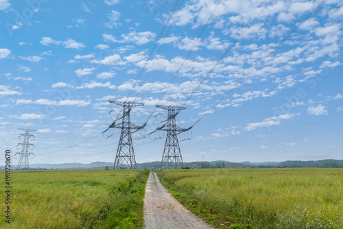 Wallpaper Mural High Voltage Power Lines Across Rural Field Torontodigital.ca