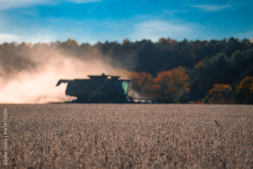 Fototapeta premium Straw and grain harvesting. Combine harvester in a wheat field. Harvesting on rural farm. Combine harvester machinery. Agricultural Combine harvester at work. Rural landscape with a combine harvester.