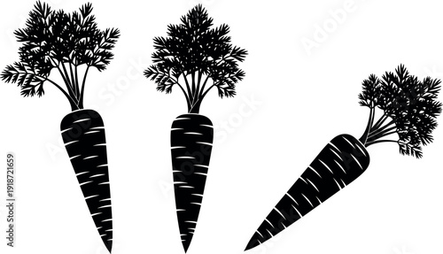 Carrot, Vegetable, Silhouette, Vector, Food, Root, Garden, Harvest, Organic, Fresh, Agriculture, Black, Icon, Nature, Plant