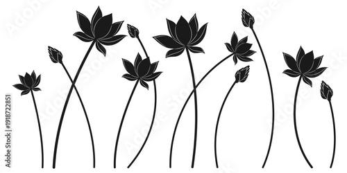 Vector design illustration of lotus flower silhouette on towering water.