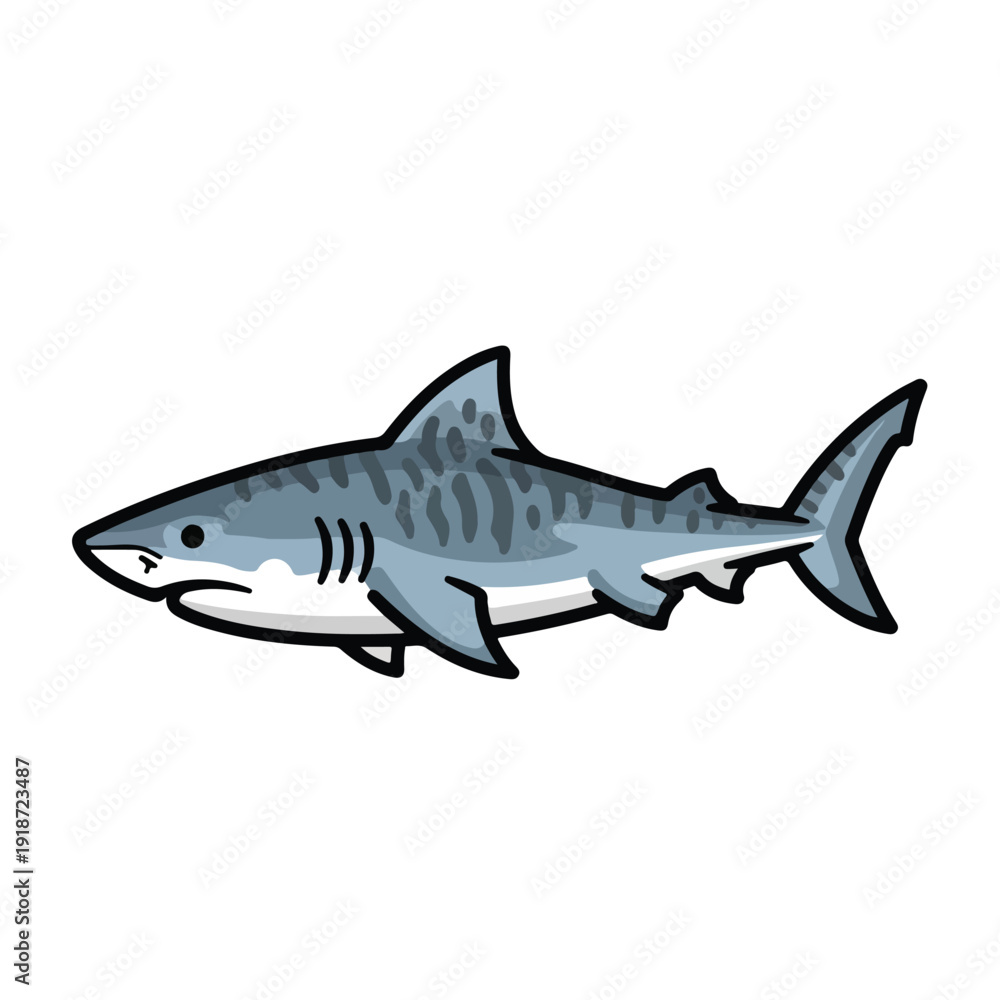 Obraz premium Gray Shark Illustration Side View.
