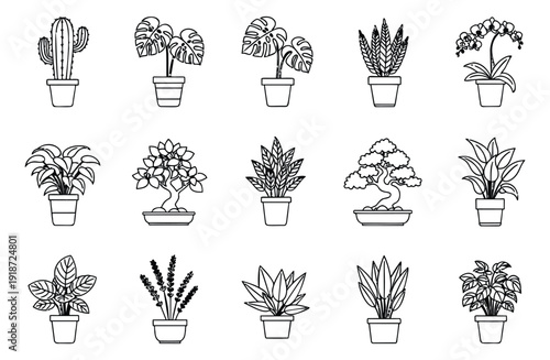 Hand drawn line art indoor potted plants set featuring a variety of houseplants like cactus, monstera, and bonsai for home and office decoration