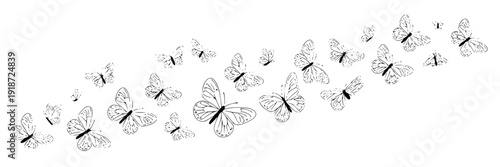 Butterflies line art flock flying in curved trail, black and white ink sketch style, minimal outline insects pattern for nature design, tattoo, logo, and decor