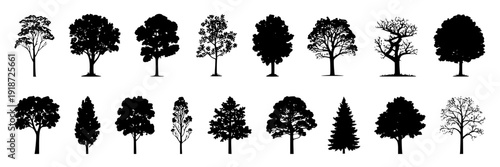Trees silhouette set with various shapes and styles for design use featuring black, white, nature with icons and collection elements for forest, leaves projects, clean composition on simple background