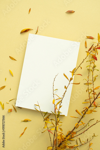 작은 잎 식물과 카드 목업