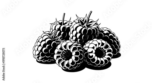 A cluster of black raspberries illustrated in detailed black and white artwork from a close-up viewpoint