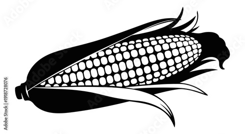 A black and white illustration of a corn cob with leaves from a close-up viewpoint showcasing a detailed illustration of a single ear of corn