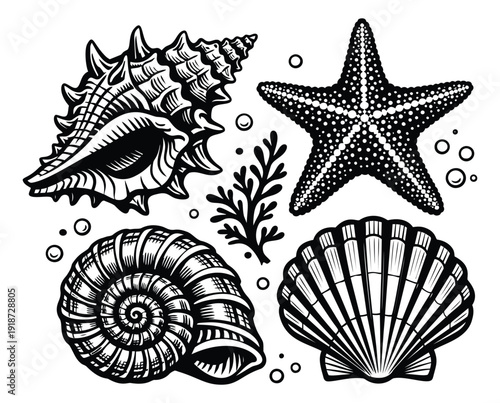 Hand drawn line art marine set featuring seashells, starfish, and coral for summer designs