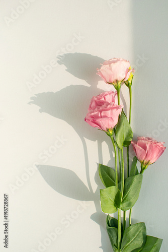 꽃장식과 그림자와 카피공간