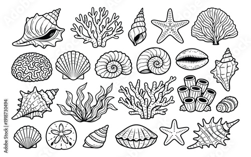 Hand drawn line art marine life set featuring various seashells, corals, seaweed, and starfish for ocean-themed designs