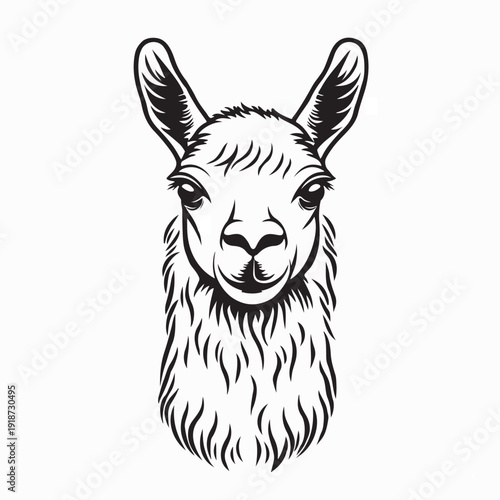 Minimal Alpaca Llama Vector Logo Illustration Isolated Background