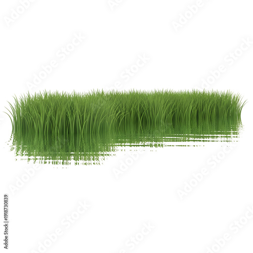 Green grass growing near water surface.
