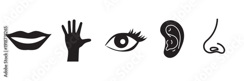 Five Human Senses Minimal Icons Set. Black vector icons representing eye, ear, nose, lips and hand, illustrating five human senses isolated on white background.

