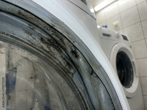 Close up of black mold and dirt accumulation on a washing machine rubber door seal