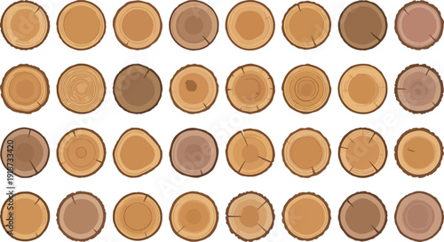 Circle wood texture with annual rings. Tree trunk cut abstract vector pattern