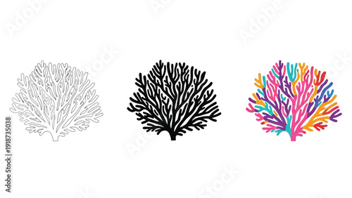 Set of three stylized branching coral illustrations showing outline silhouette and vibrant multicolored versions for design