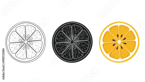 Collection of citrus fruit slices showcasing outline silhouette and full color stylized illustrations suitable for graphic design projects