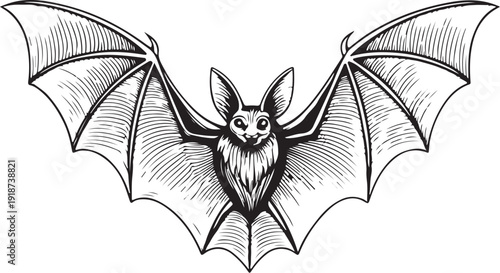 Bat Hand-drawn Sketch Drawing Vector Illustration, Line Linear Symbol Black and White Engraving, Isolated
