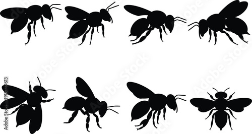 Bee silhouette collection, black flying honeybee insects isolated on white background, detailed winged pollinator vector illustration set for nature design