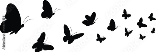 Butterfly silhouette collection, black flying butterflies isolated on white background, elegant insect shapes for design, nature illustration, decorative vector style graphic set
