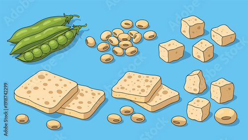 Various soy-based food items including edamame, soybeans, tofu cubes, and fried tofu slices are arranged on a blue background.