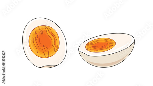 Two halves of a hard-boiled egg with bright orange yolks shown in a detailed food illustration for breakfast or cooking themes.