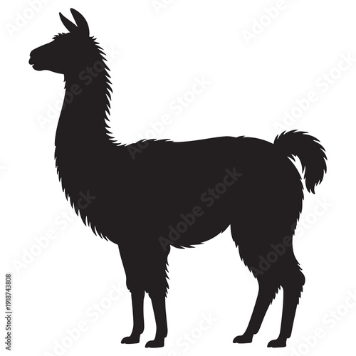 Silhouette graphic of a llama standing upright with long shaggy fur isolated on clear background