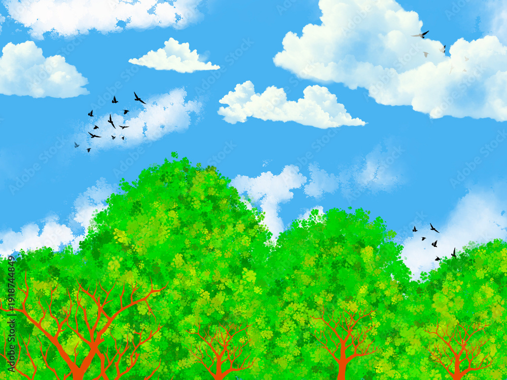 Fototapeta premium summer landscape with trees and clouds