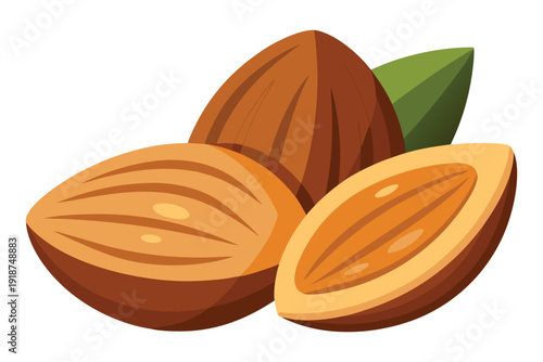 Illustration of walnuts and leaves