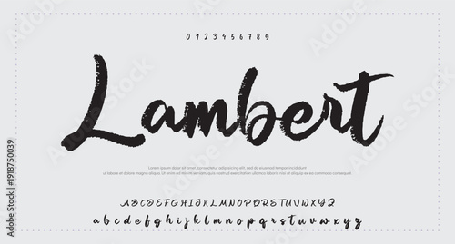 Script Brush Font Type Font lettering handwritten 