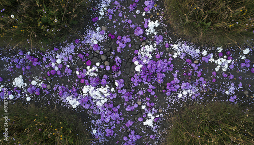 Purple and white flower petals on path