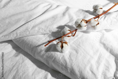 Branch with cotton flowers ...