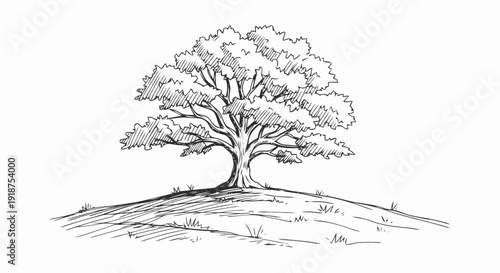 Detailed Sketch of a Majestic Oak Tree on a Hill.