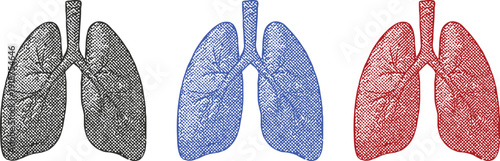 halftone human lungs icon isolated on white background, colorful vector illustration of respiratory system anatomy with dot shading for medical, pulmonary health, and science concepts.