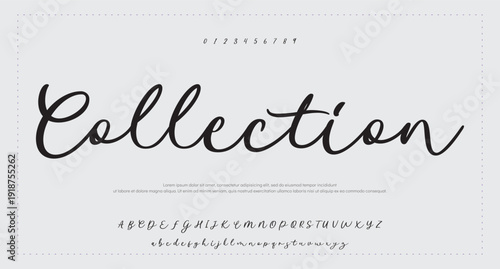 letter design with signature font style 
