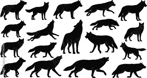 Wolf silhouette set with multiple poses isolated on white background, wild predator animal collection detailed vector illustration