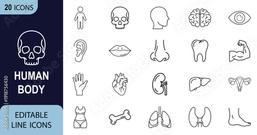 Human Body web line art icon set. Human body, anatomy, organ, brain, heart collection. Vector illustration.