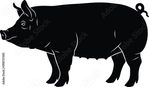 Pig silhouette isolated on white background, detailed farm animal livestock illustration black vector design for agriculture concept
