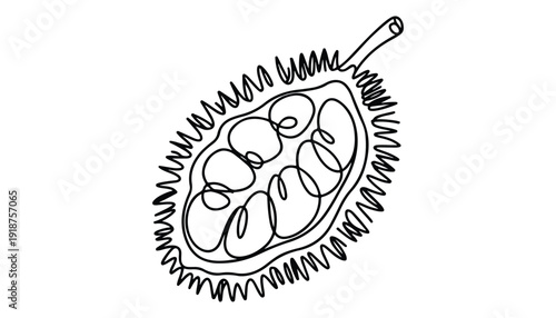 One continuous line illustration of an Durian fruits, isolated on white background.