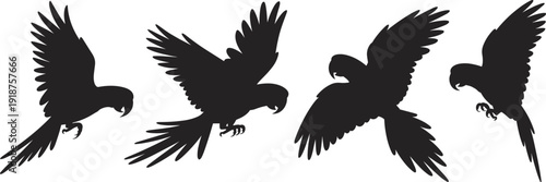 Parrot silhouette set, flying tropical birds with spread wings and curved beaks, exotic wildlife collection, isolated black vector illustration design