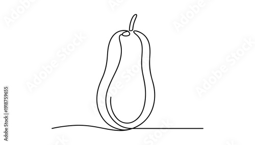 One continuous line illustration of an papaya fruits, isolated on white background.