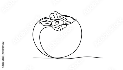One continuous line illustration of an Persimmon fruits, isolated on white background.