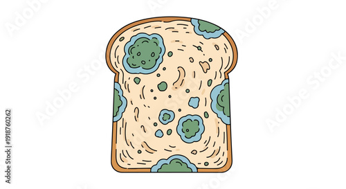 Illustration of a slice of bread with visible mold growth on its surface against a clean white background.