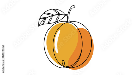 One continuous line illustration of an Apricot fruits, isolated on white background.