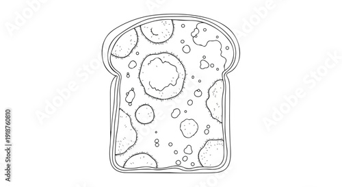 A detailed line drawing of a slice of bread with mold, depicted in a simple and illustrative style against a clean white background.