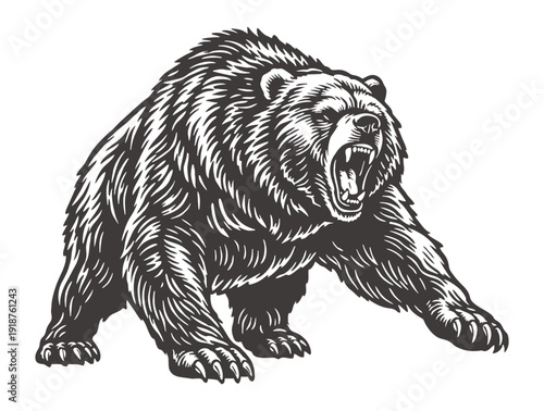 Intense illustration of a grizzly bear roaring in aggressive posture.