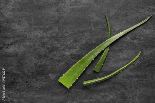 Slika na platnu Fresh aloe vera leaves on black grunge background